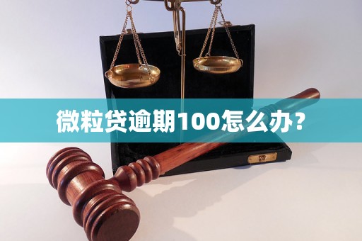 微粒贷逾期100怎么办？