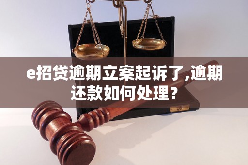 e招贷逾期立案起诉了,逾期还款如何处理？