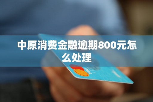 中原消费金融逾期800元怎么处理