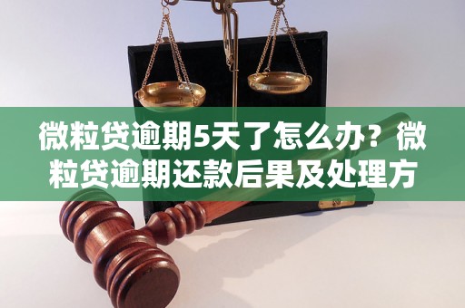 微粒贷逾期5天了怎么办？微粒贷逾期还款后果及处理方法