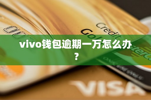 vivo钱包逾期一万怎么办？