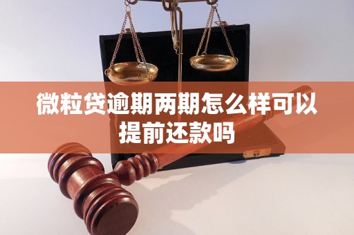 微粒贷逾期两期怎么样可以提前还款吗