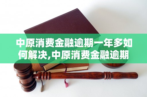 中原消费金融逾期一年多如何解决,中原消费金融逾期超过一年后果及应对措施