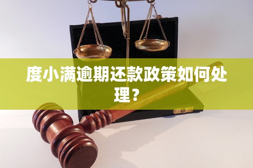 度小满逾期还款政策如何处理？