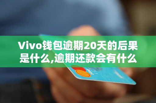 Vivo钱包逾期20天的后果是什么,逾期还款会有什么后果