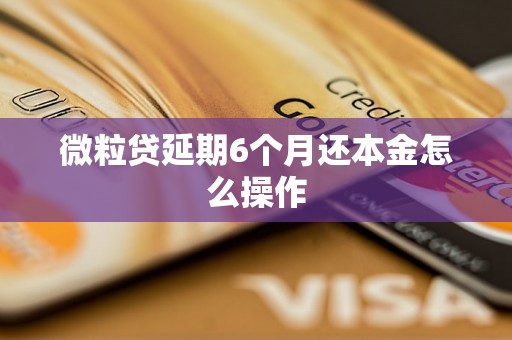 微粒贷延期6个月还本金怎么操作