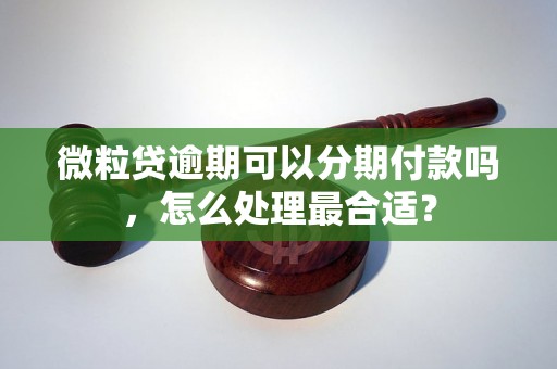 微粒贷逾期可以分期付款吗，怎么处理最合适？