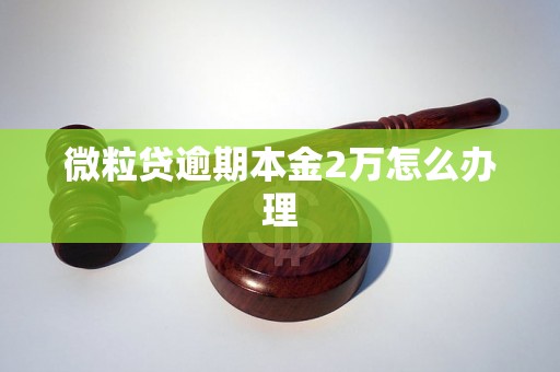 微粒贷逾期本金2万怎么办理