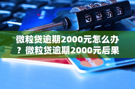 微粒贷逾期2000元怎么办？微粒贷逾期2000元后果严重吗？