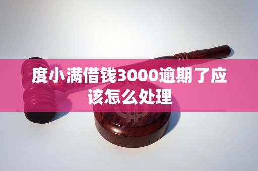 度小满借钱3000逾期了应该怎么处理