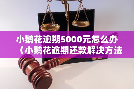 小鹅花逾期5000元怎么办（小鹅花逾期还款解决方法）