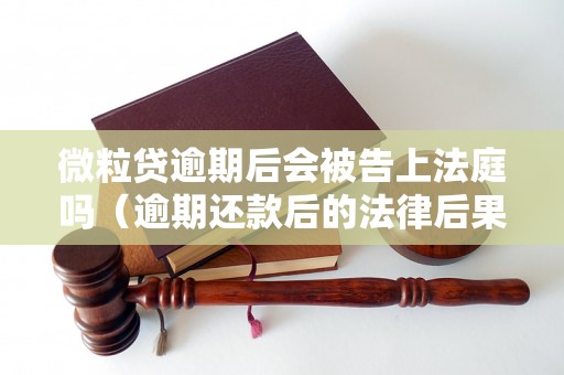 微粒贷逾期后会被告上法庭吗（逾期还款后的法律后果）