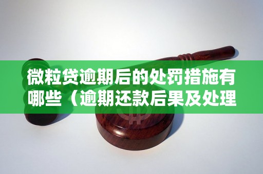 微粒贷逾期后的处罚措施有哪些（逾期还款后果及处理方式）