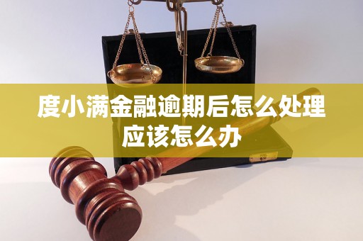 度小满金融逾期后怎么处理应该怎么办