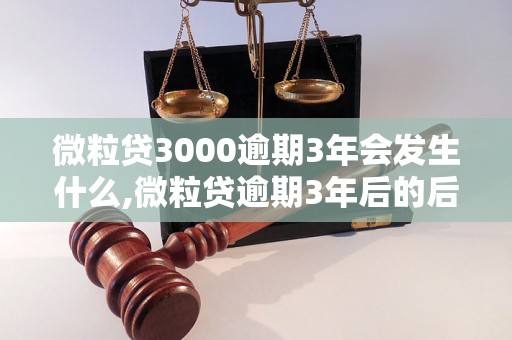 微粒贷3000逾期3年会发生什么,微粒贷逾期3年后的后果