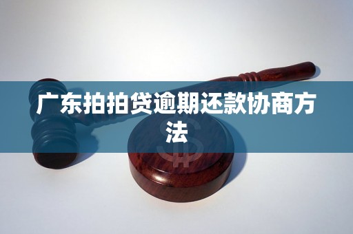 广东拍拍贷逾期还款协商方法