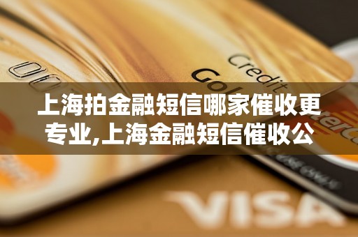 上海拍金融短信哪家催收更专业,上海金融短信催收公司推荐