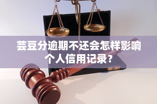 芸豆分逾期不还会怎样影响个人信用记录？