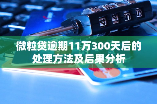 微粒贷逾期11万300天后的处理方法及后果分析