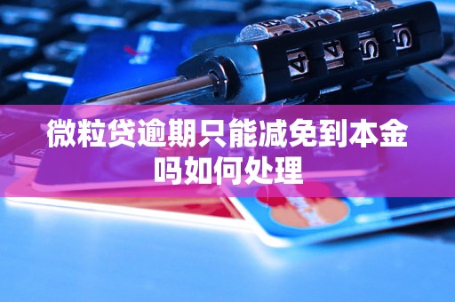 微粒贷逾期只能减免到本金吗如何处理