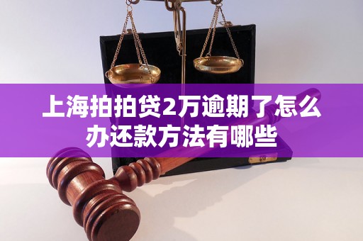 上海拍拍贷2万逾期了怎么办还款方法有哪些