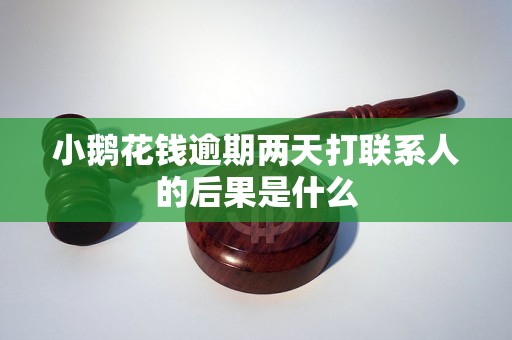 小鹅花钱逾期两天打联系人的后果是什么