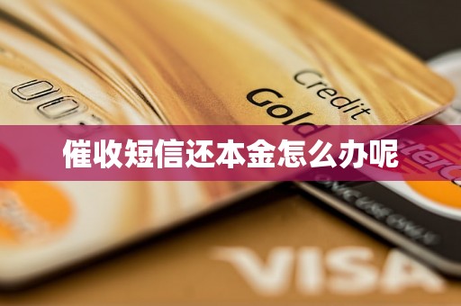 催收短信还本金怎么办呢