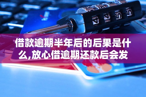 借款逾期半年后的后果是什么,放心借逾期还款后会发生什么