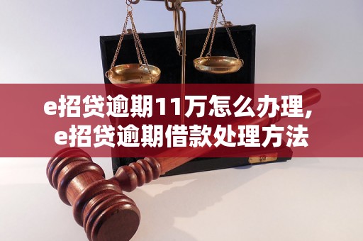 e招贷逾期11万怎么办理, e招贷逾期借款处理方法