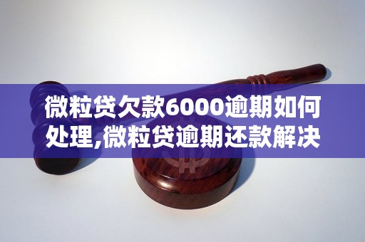 微粒贷欠款6000逾期如何处理,微粒贷逾期还款解决方案