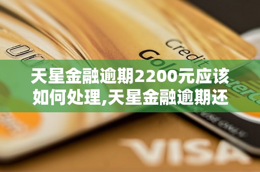 天星金融逾期2200元应该如何处理,天星金融逾期还款怎么办