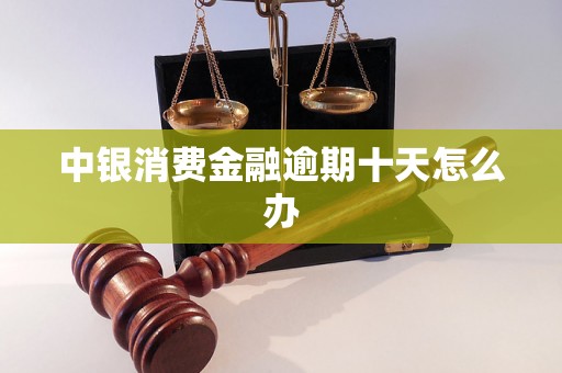 中银消费金融逾期十天怎么办