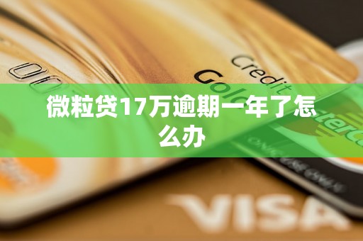 微粒贷17万逾期一年了怎么办