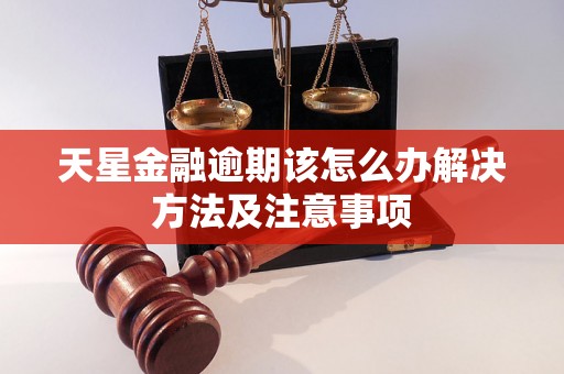 天星金融逾期该怎么办解决方法及注意事项