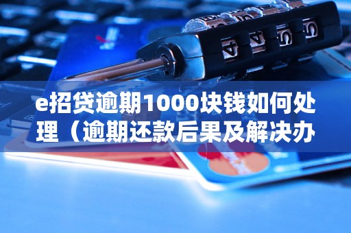 e招贷逾期1000块钱如何处理（逾期还款后果及解决办法）