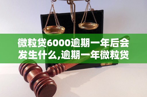 微粒贷6000逾期一年后会发生什么,逾期一年微粒贷6000的后果