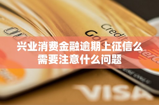 兴业消费金融逾期上征信么需要注意什么问题