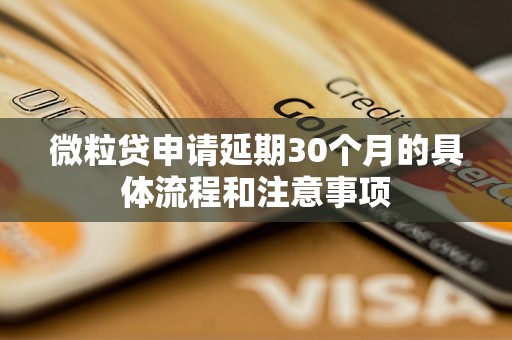 微粒贷申请延期30个月的具体流程和注意事项