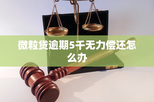 微粒贷逾期5千无力偿还怎么办