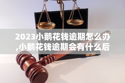 2023小鹅花钱逾期怎么办,小鹅花钱逾期会有什么后果