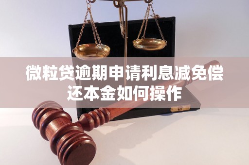 微粒贷逾期申请利息减免偿还本金如何操作