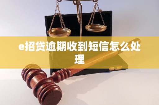 e招贷逾期收到短信怎么处理