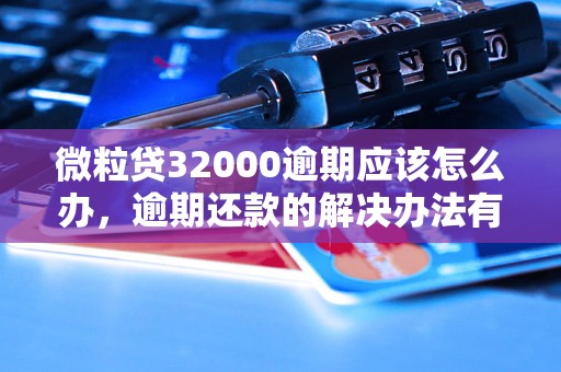 微粒贷32000逾期应该怎么办，逾期还款的解决办法有哪些