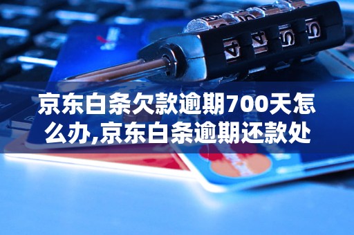 京东白条欠款逾期700天怎么办,京东白条逾期还款处理方法