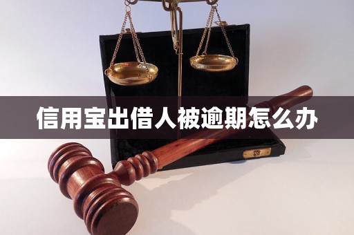 信用宝出借人被逾期怎么办