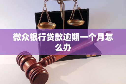 微众银行贷款逾期一个月怎么办