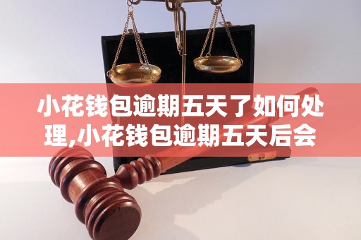 小花钱包逾期五天了如何处理,小花钱包逾期五天后会发生什么