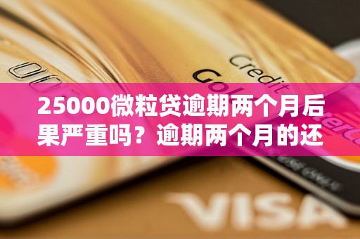 25000微粒贷逾期两个月后果严重吗？逾期两个月的还款流程详解