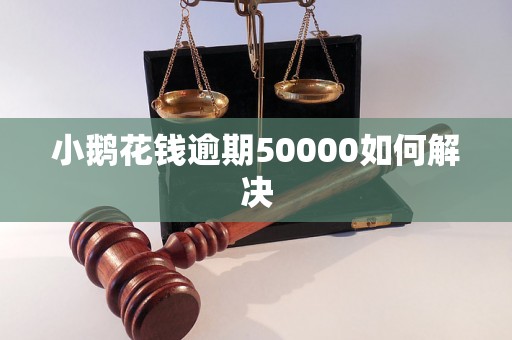 小鹅花钱逾期50000如何解决