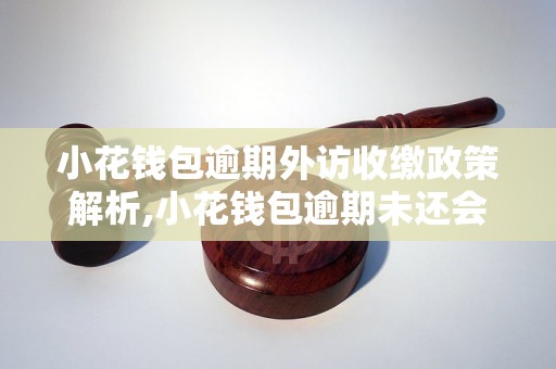 小花钱包逾期外访收缴政策解析,小花钱包逾期未还会有什么后果